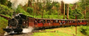 Puffing Billy